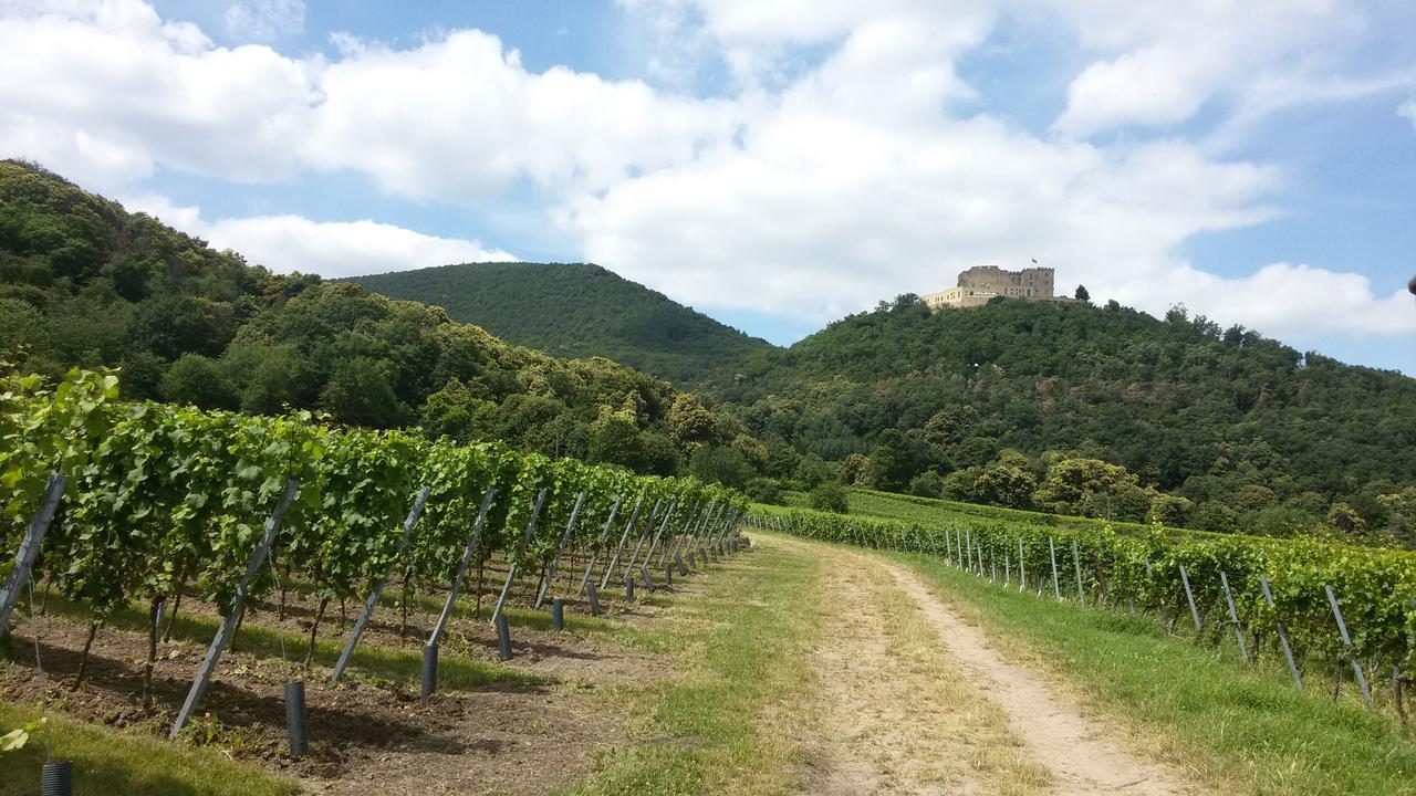 Gaestehaus Weingut Glas Нойштадт-ан-дер-Вайнштрасе Экстерьер фото