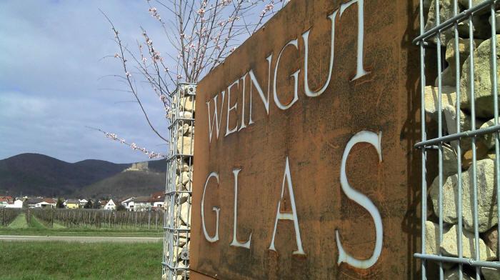 Gaestehaus Weingut Glas Нойштадт-ан-дер-Вайнштрасе Экстерьер фото